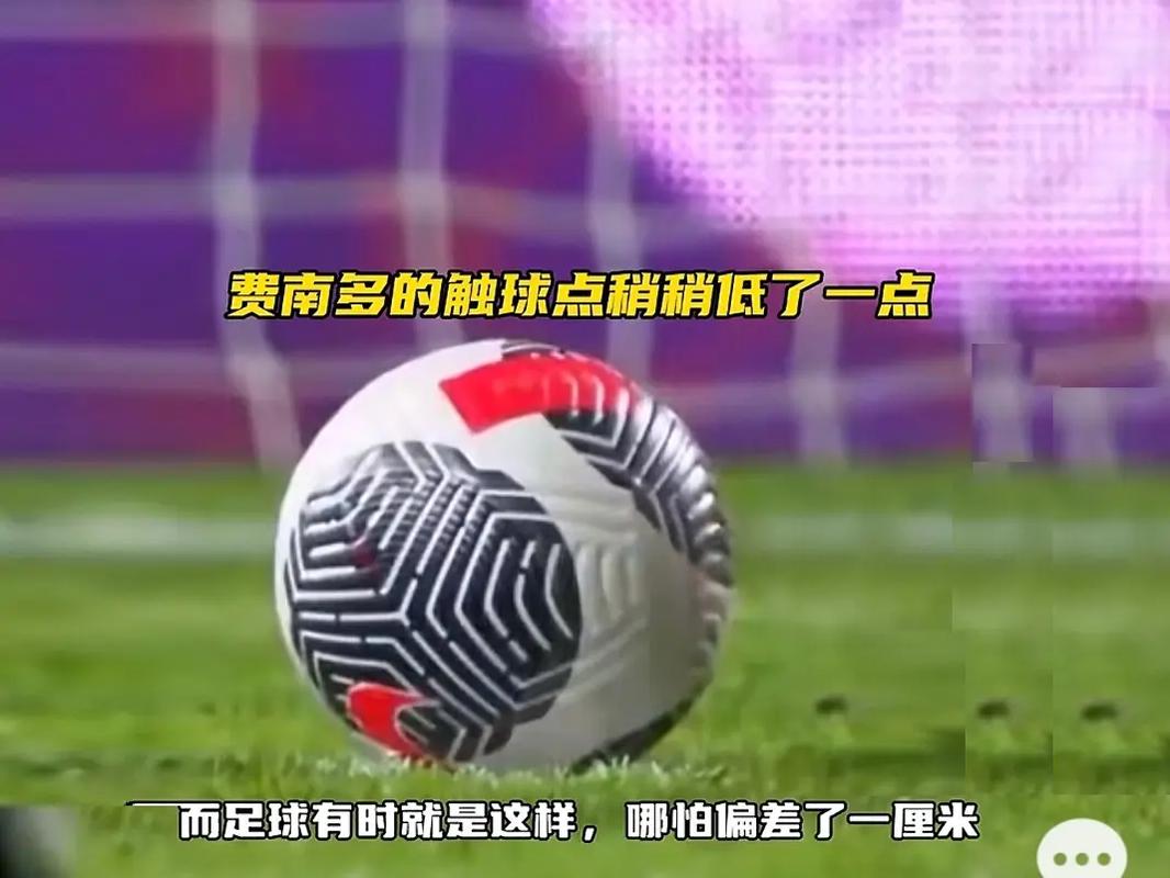 场的观众